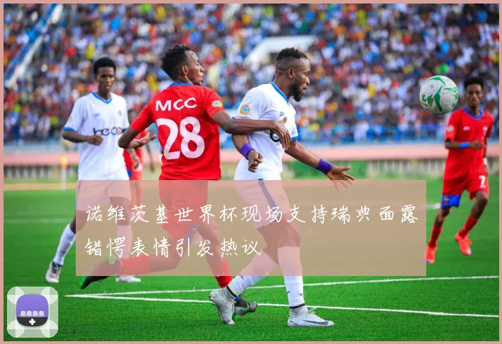 诺维茨基世界杯现场支持瑞典面露错愕表情引发热议
