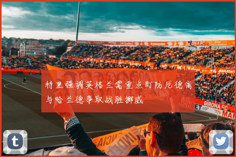 特里强调英格兰需重点盯防厄德高与哈兰德争取战胜挪威